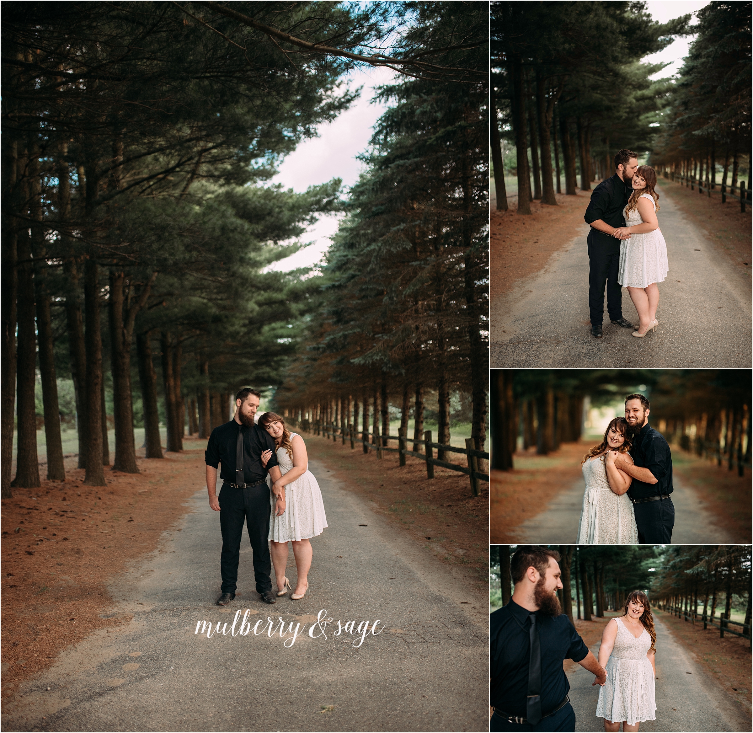 Port Huron Engagement Photographers