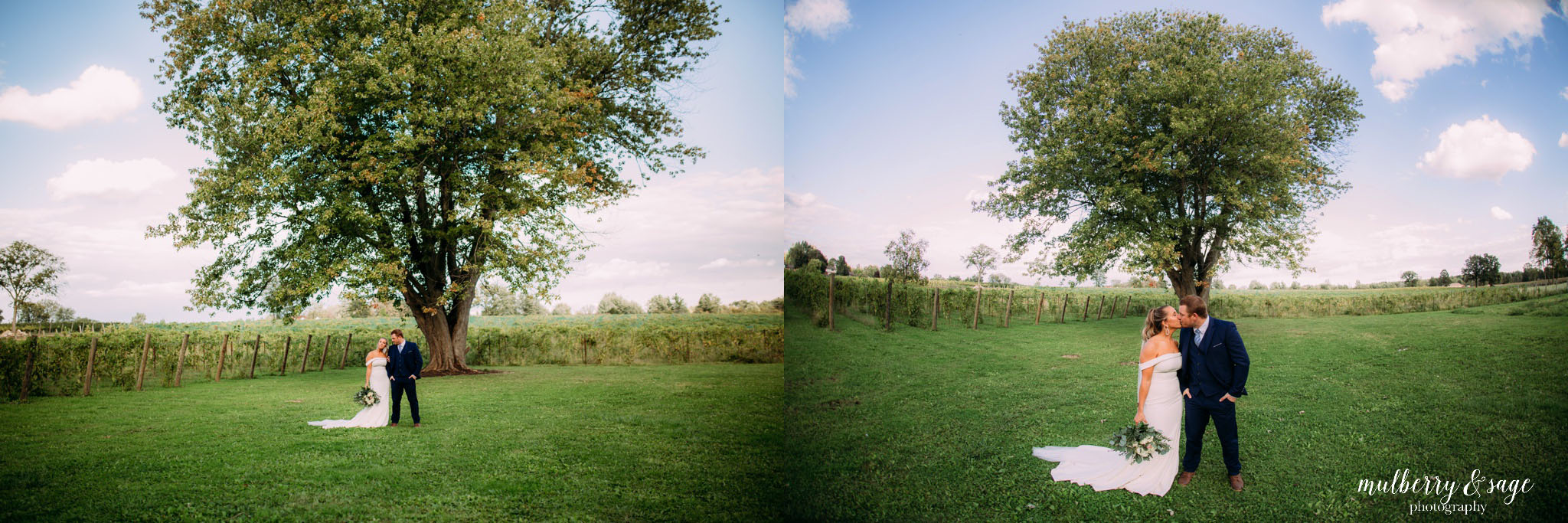 youngblood vineyard wedding