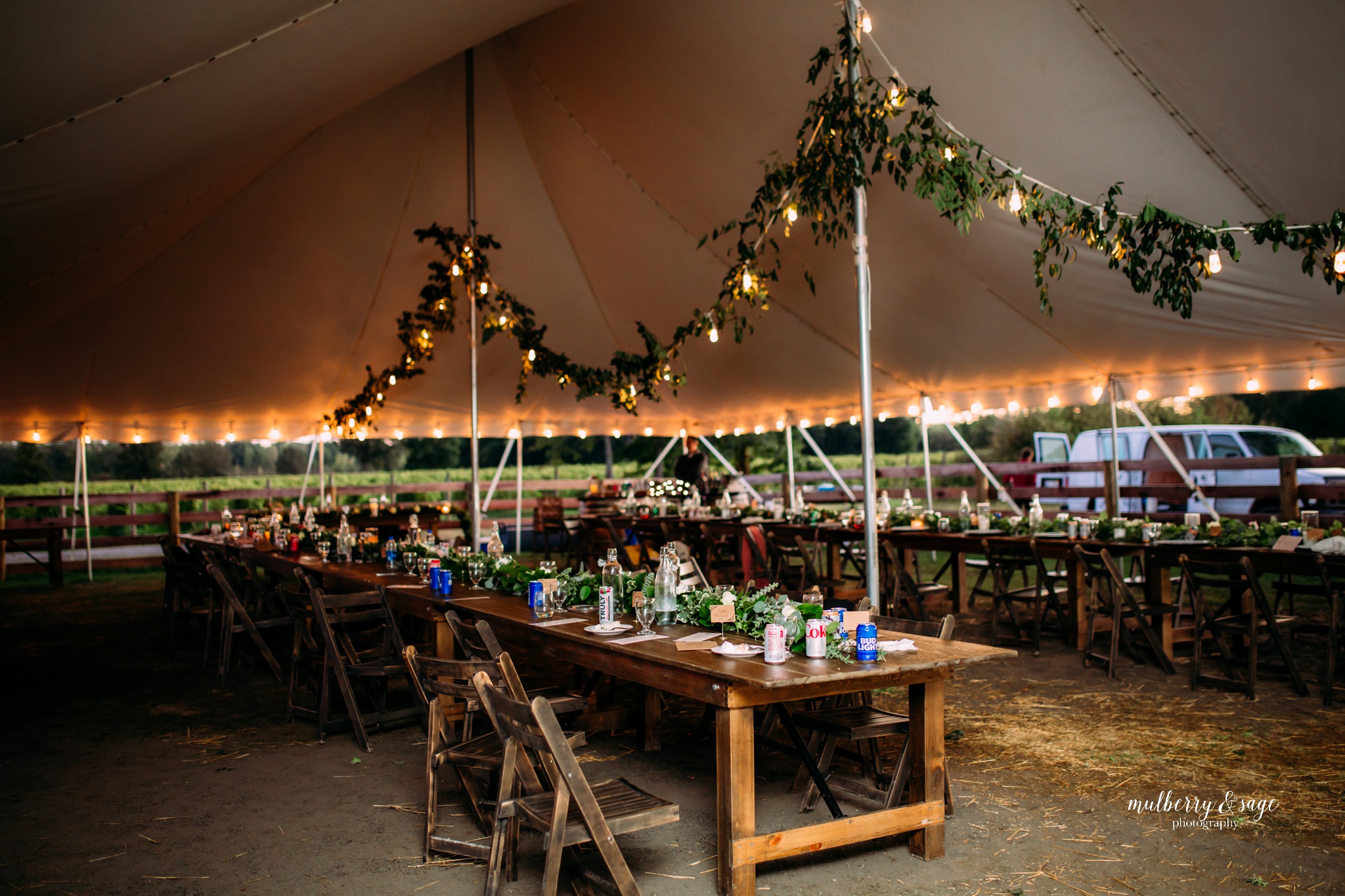 youngblood vineyard wedding