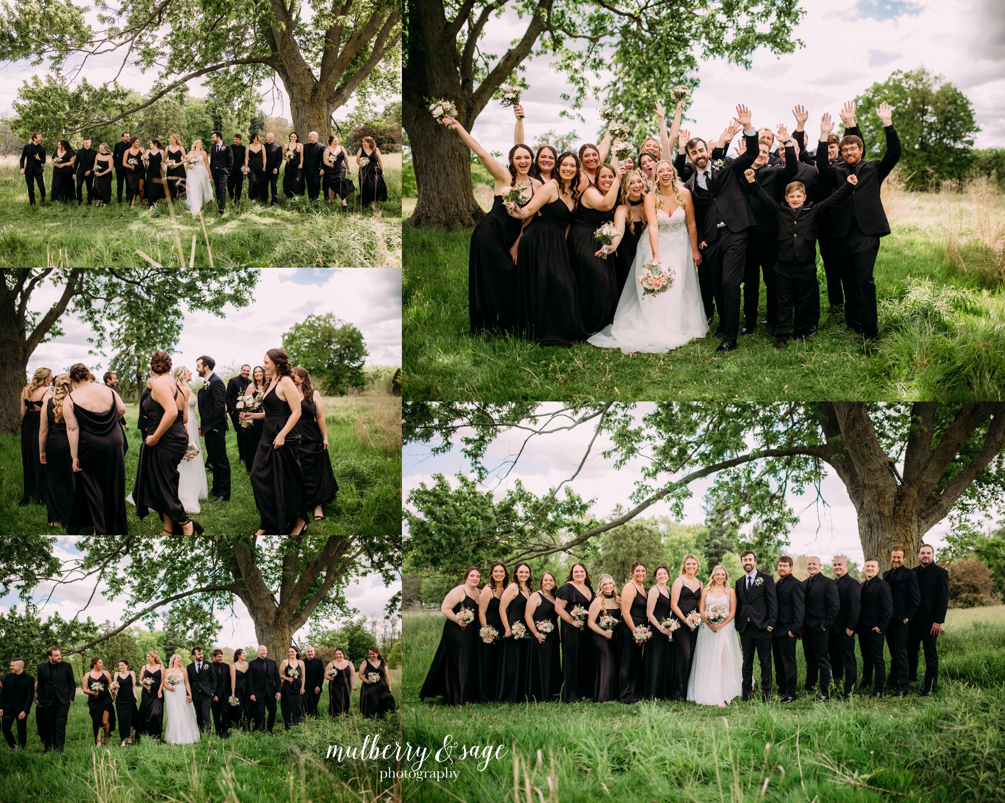 leona road wedding photography