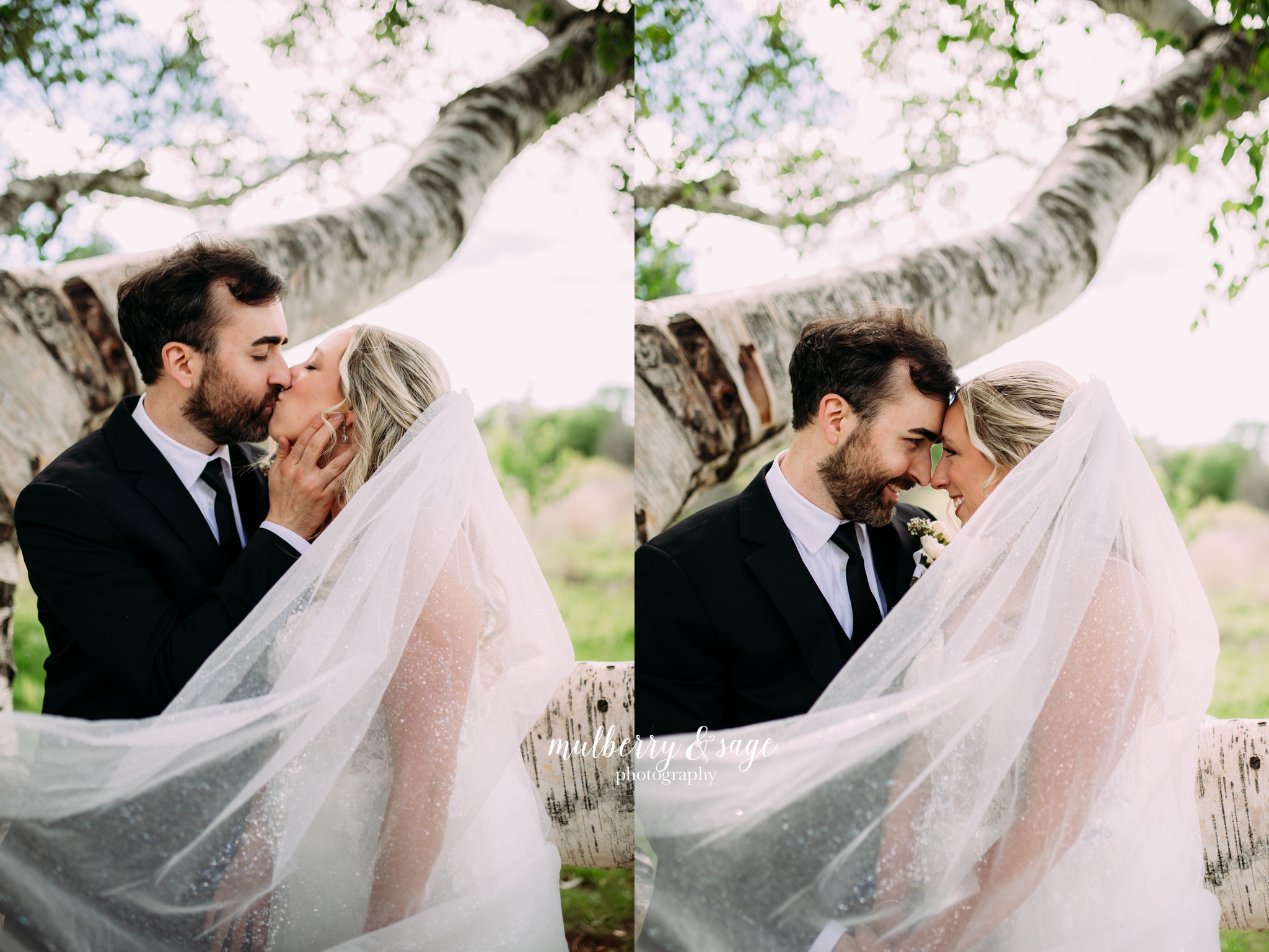 leona road wedding photography